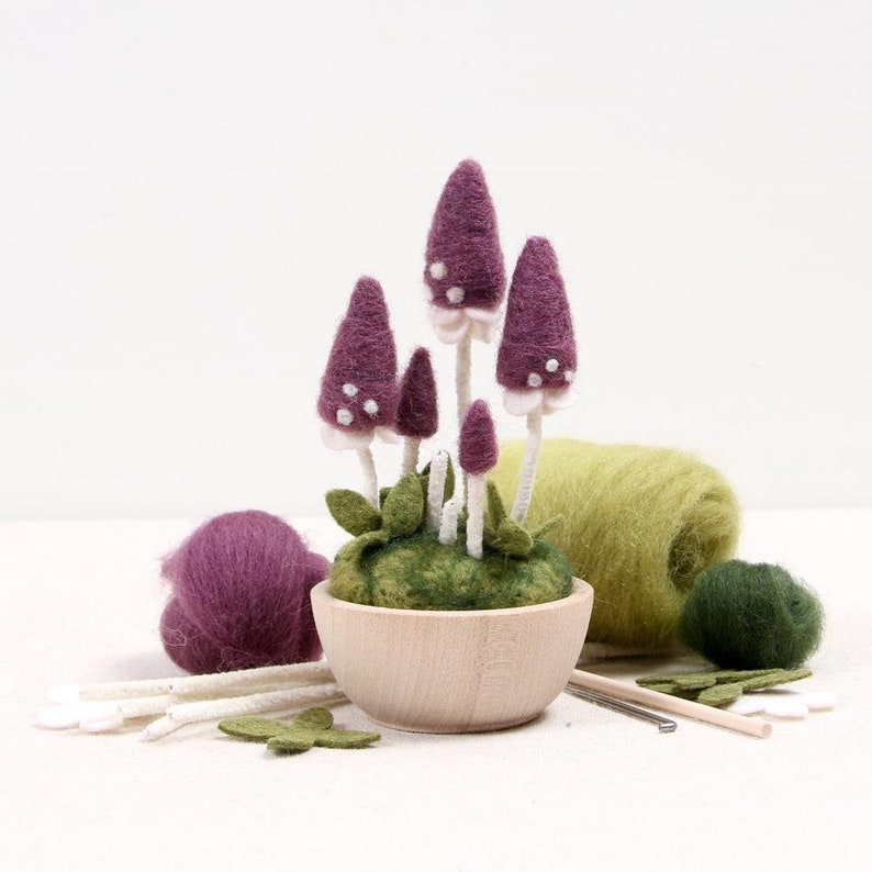 Nadelfilz-Kit, Pixie Sonnenschirm, Pilz Bastelset, DIY, Roving, Filzset