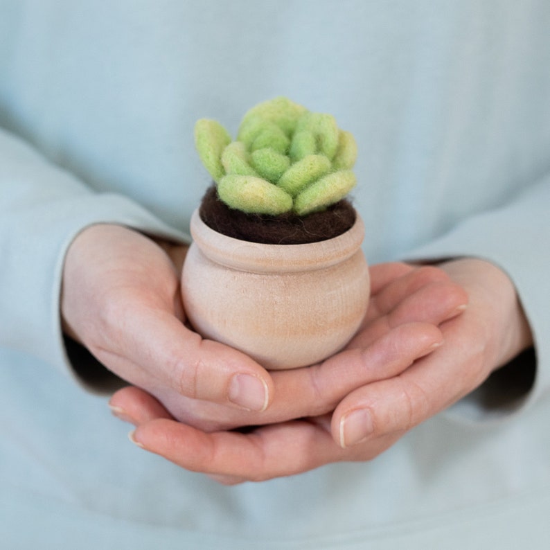 Mini Needle Felting Succulent Kit with Video Tutorials - DIY Craft Gift - Lotus Leaf