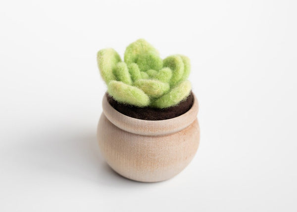 Mini Needle Felting Succulent Kit with Video Tutorials - DIY Craft Gift - Lotus Leaf