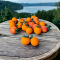Orangen aus Filz – Miniatur gefilzte Frucht, Handarbeit aus Wolle, 4 cm, Orange