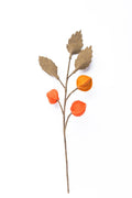 Orange Physalis Zweig handgefilzt 48cm Dekoration