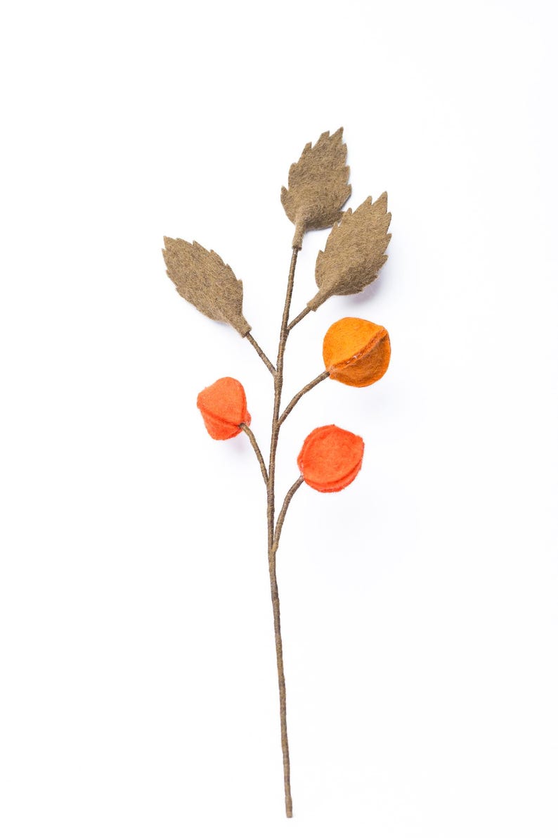 Orange Physalis Zweig handgefilzt 48cm Dekoration