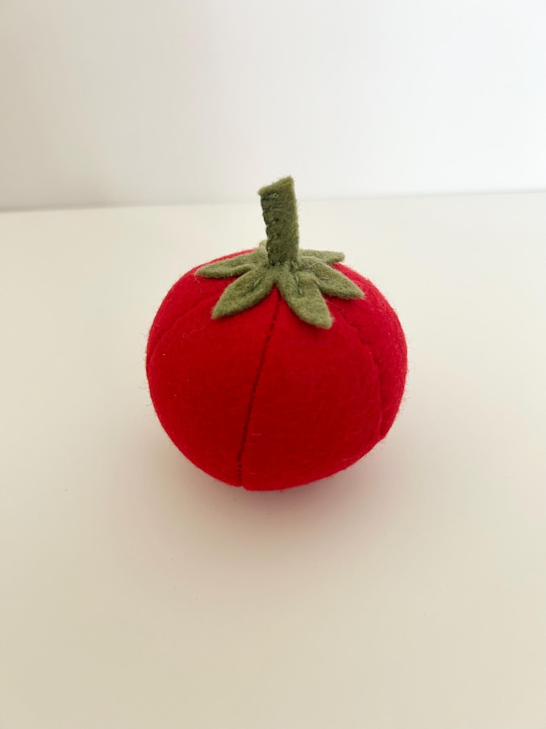 Filz Gemüse Bündel mit 2 Karotten, 1 Roter Beete, 1 Zwiebel, 1 Tomate