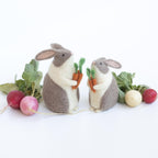 Nadelfilzset Ostern Häschen und Karotten mit Videoanleitung DIY