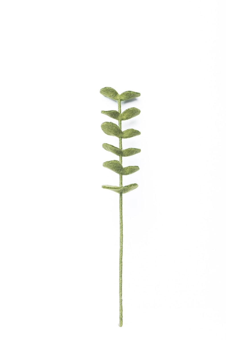 Filz Eukalyptus Zweig – grüner Filzzweig, minimalistische Naturdeko