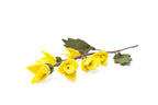 Gefilzter Forsythien-Ast aus Filz - Frühlingsdeko mit Draht