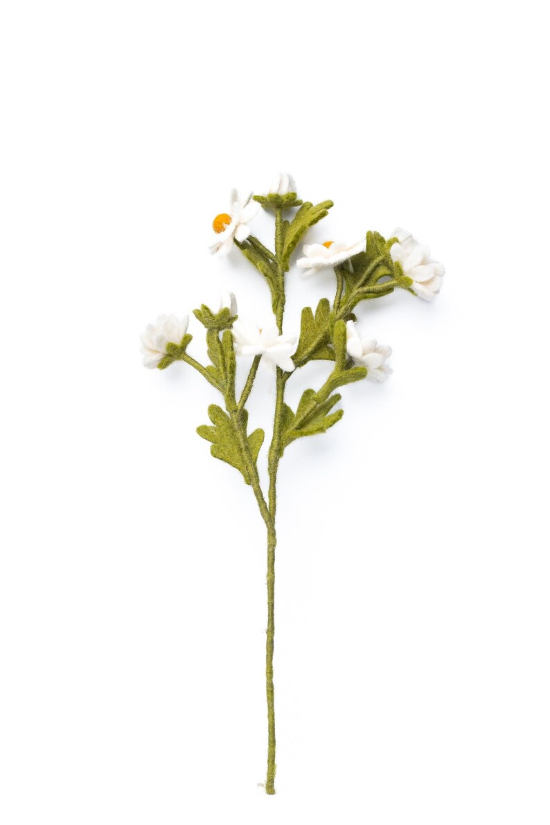 Filzblume Kamille Zweig – Wildblume, weiße Blüten mit gelber Mitte, handgefertigt