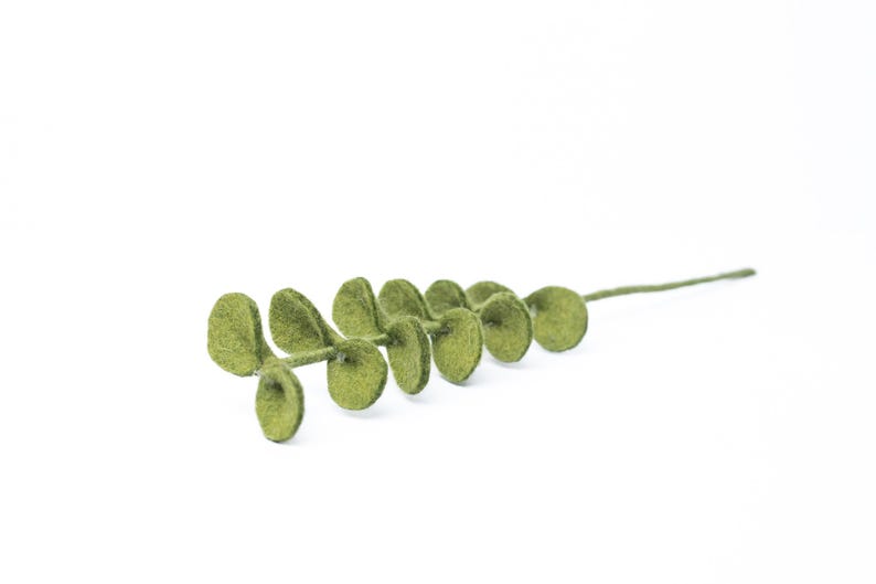 Filz Eukalyptus Zweig – grüner Filzzweig, minimalistische Naturdeko
