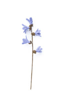 Lila Filz Blütenzweig – Frühlingsblume, Filzdeko, Draht biegsam