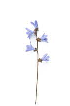 Lila Filz Blütenzweig – Frühlingsblume, Filzdeko, Draht biegsam