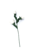 Filz Lisianthus Blume – weiße Filzblume, Naturdeko, minimalistische Boho Deko