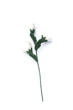 Filz Lisianthus Blume – weiße Filzblume, Naturdeko, minimalistische Boho Deko