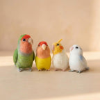 Wollfilz Vogelfigur: Nadelfilz-Miniatur-Papagei, handgefertigte Naturdekoration, kleines Wellensittich-Geschenk