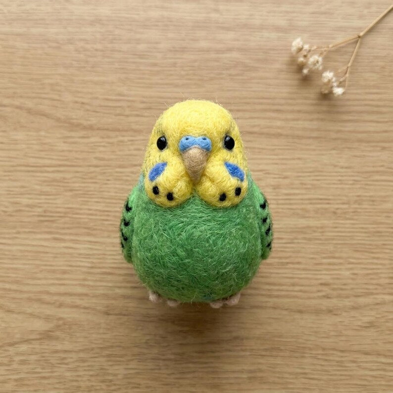 Nadelfilz Kit Wellensittich Vogel DIY Bastelset für Anfänger Kreatives Geschenk Vogelliebhaber Wolle Hobby Kit