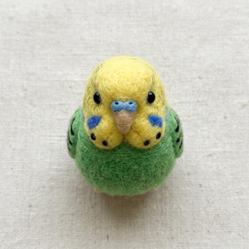 Nadelfilz Kit Wellensittich Vogel DIY Bastelset für Anfänger Kreatives Geschenk Vogelliebhaber Wolle Hobby Kit