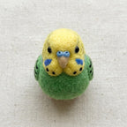 Nadelfilz Kit Wellensittich Vogel DIY Bastelset für Anfänger Kreatives Geschenk Vogelliebhaber Wolle Hobby Kit