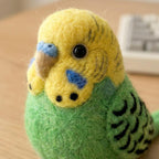 Nadelfilz Kit Wellensittich Vogel DIY Bastelset für Anfänger Kreatives Geschenk Vogelliebhaber Wolle Hobby Kit