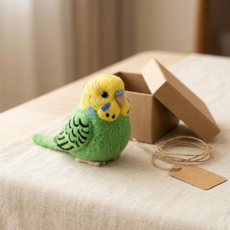 Nadelfilz Kit Wellensittich Vogel DIY Bastelset für Anfänger Kreatives Geschenk Vogelliebhaber Wolle Hobby Kit
