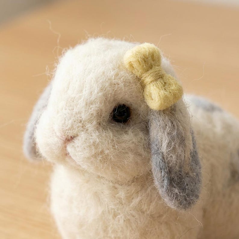 Nadelfilz Set für Anfänger Häschen Kaninchen DIY Bastelset mit Merinowolle