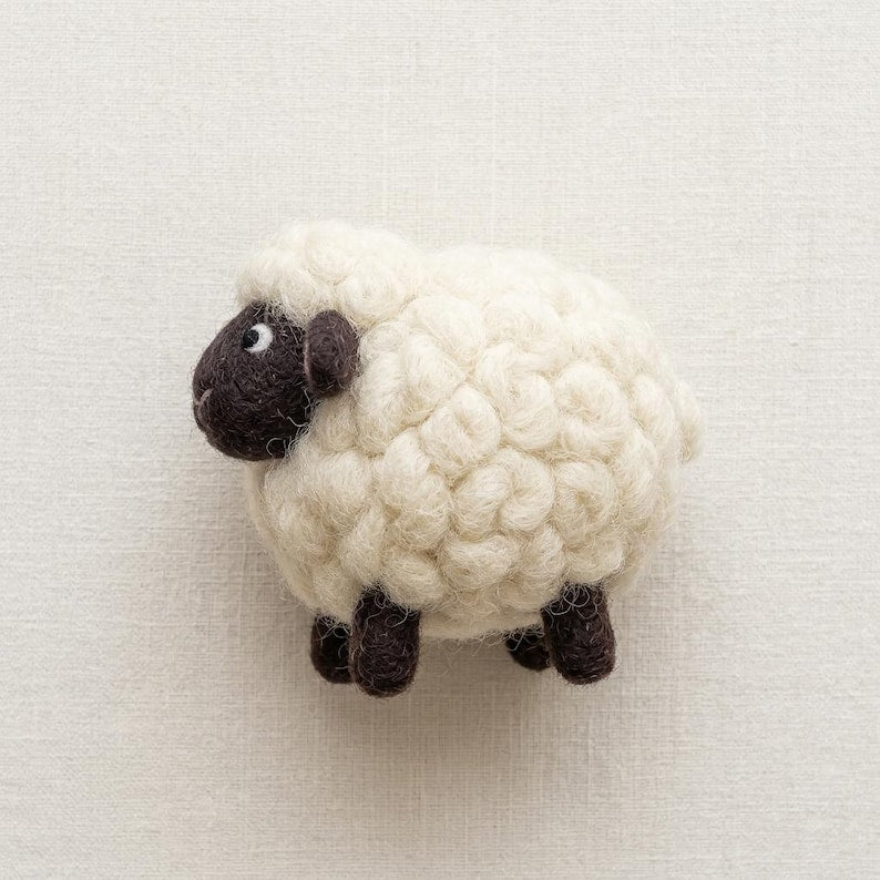 Nadelfilz-Kit für Anfänger, DIY Bastelset Schafwolle, Hobby Stressabbau