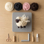Nadelfilz-Kit für Anfänger, DIY Bastelset Schafwolle, Hobby Stressabbau