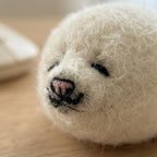 Nadelfilz Set für Anfänger, Niedliches Robben Jungtier, DIY Bastelset, Stress Relief Geschenk