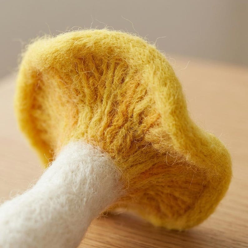 Nadelfilzset Pilz Bastelset für Anfänger mit Merinowolle und Filznadeln