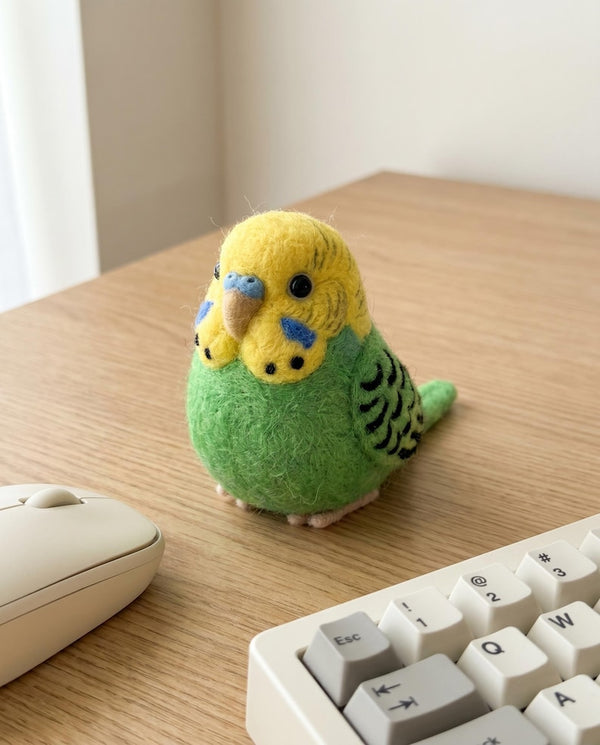 Nadelfilz Kit Wellensittich Vogel DIY Bastelset für Anfänger Kreatives Geschenk Vogelliebhaber Wolle Hobby Kit