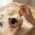 Nadelfilz-Kit für Anfänger, DIY Bastelset Schafwolle, Hobby Stressabbau