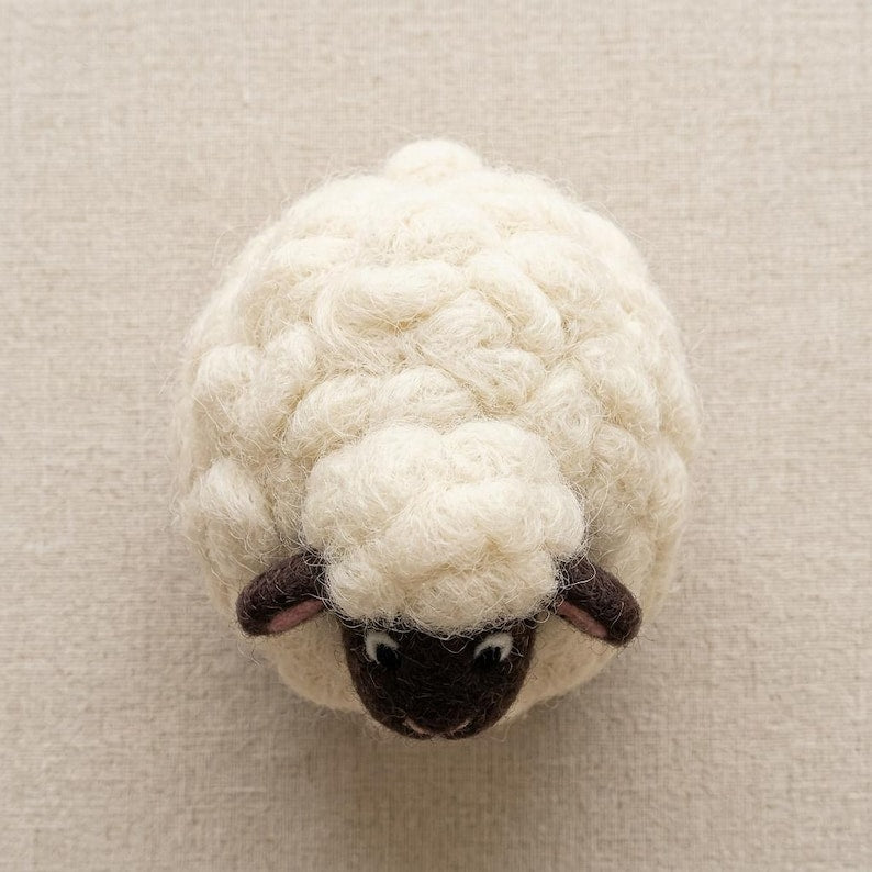 Nadelfilz-Kit für Anfänger, DIY Bastelset Schafwolle, Hobby Stressabbau