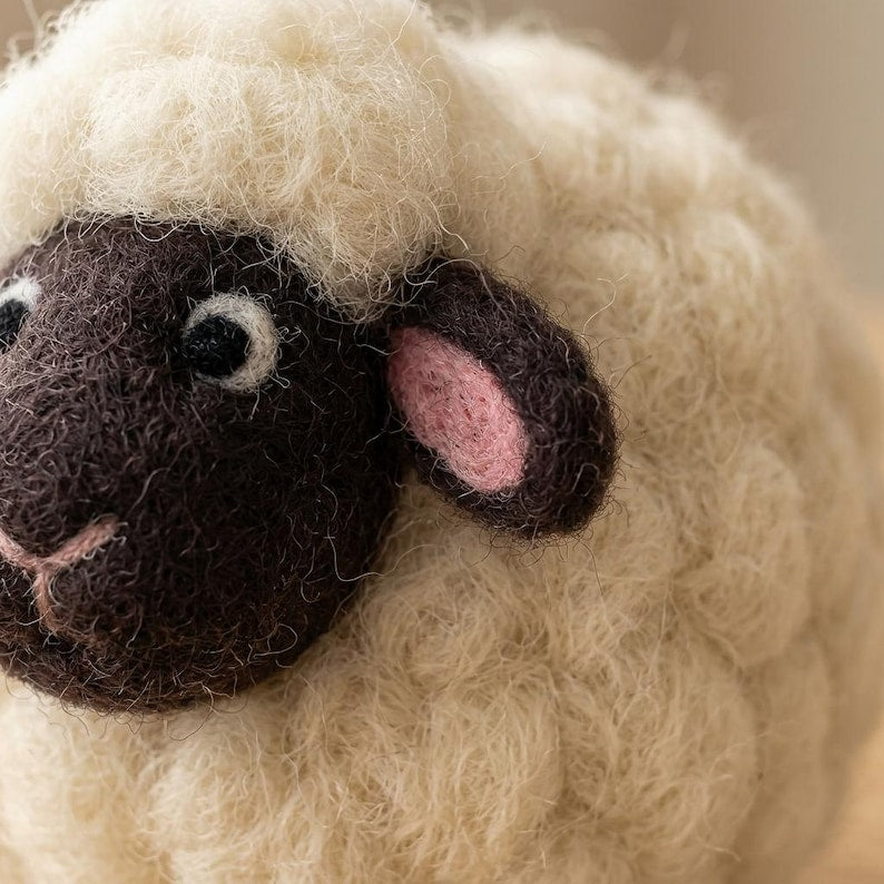 Nadelfilz-Kit für Anfänger, DIY Bastelset Schafwolle, Hobby Stressabbau