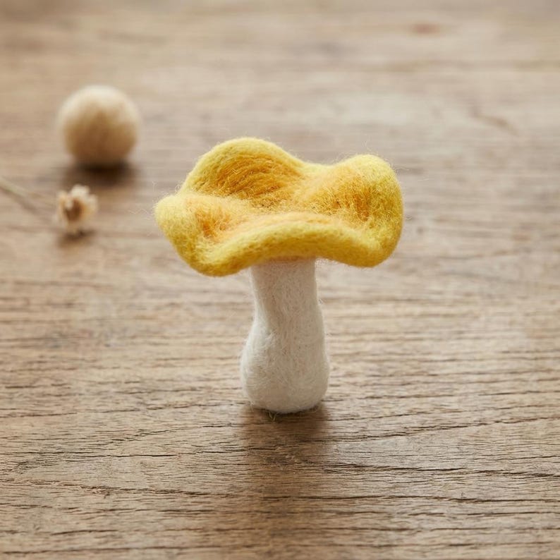 Nadelfilzset Pilz Bastelset für Anfänger mit Merinowolle und Filznadeln