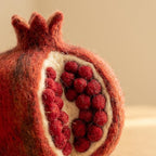 Nadelfilz Set Granatapfel DIY Handwerk Anfänger Realistische Wollfilz Kunst