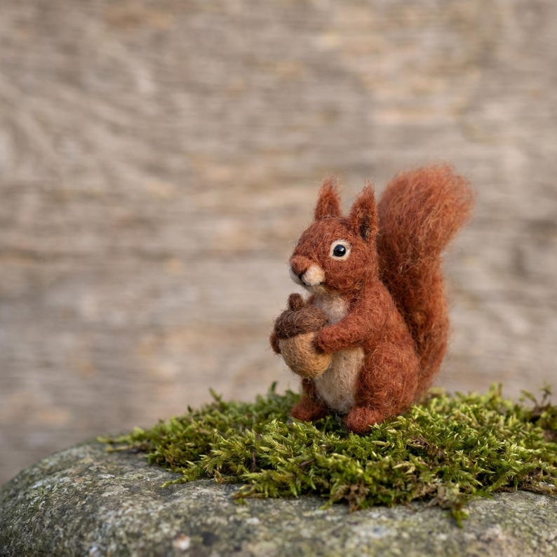 Nadelfilz-Kit Eichhörnchen für Anfänger DIY Bastelset Merinowolle 6-8 cm
